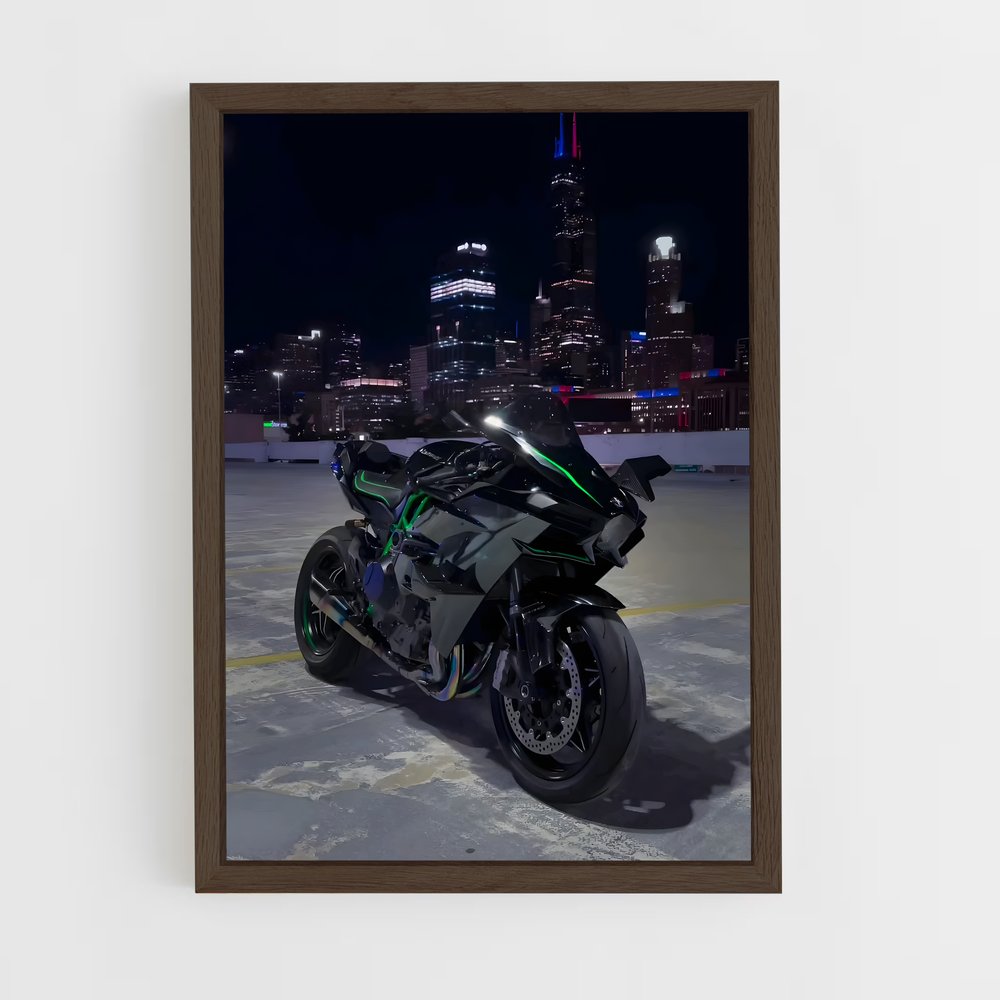 Poster Ninja H2 Énigmatique (vue 5)